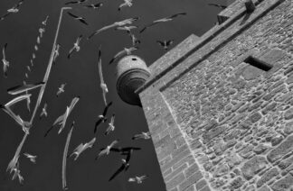 ESSAOUIRABR_4